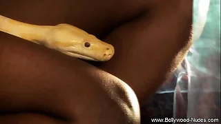 The Most qualified Seductive Ritual